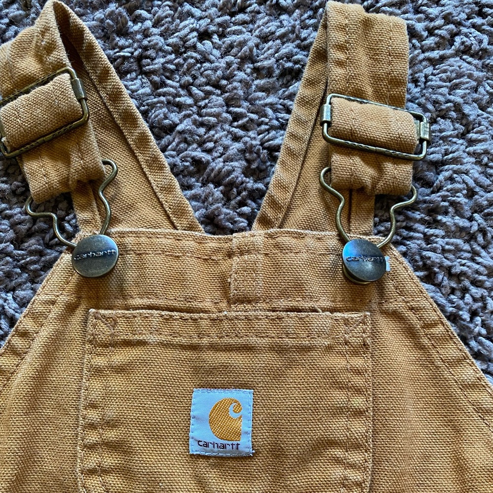 Carhartt 6M Winter Bibs - Picture 3 of 5